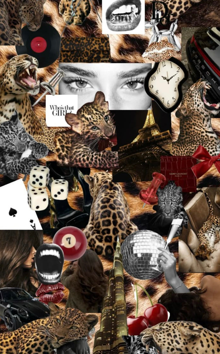 🐆Wild Strike Collection🍒