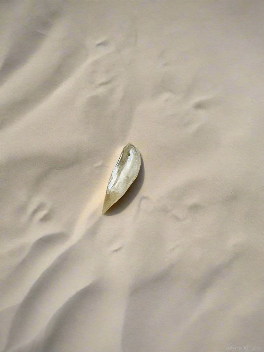 Drift – Shell Drop Charm