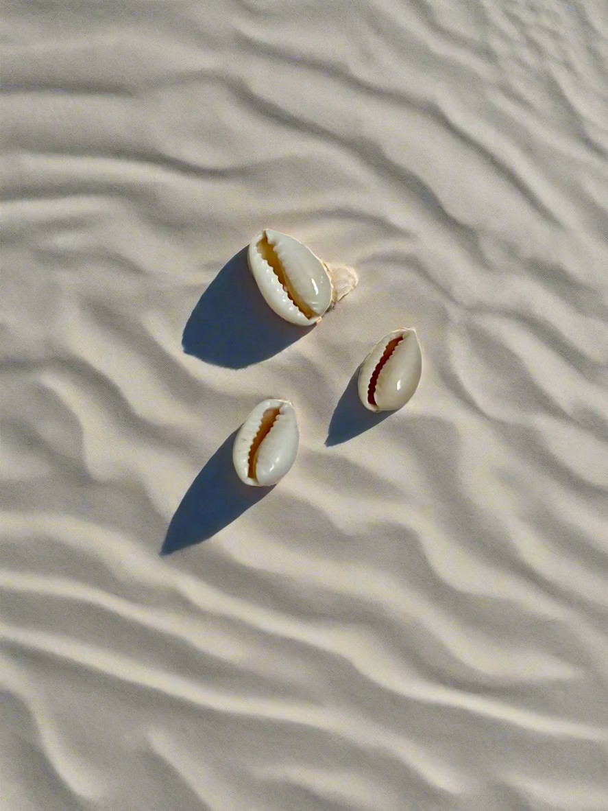 Cowrie Cuties – Natural Shell Charms