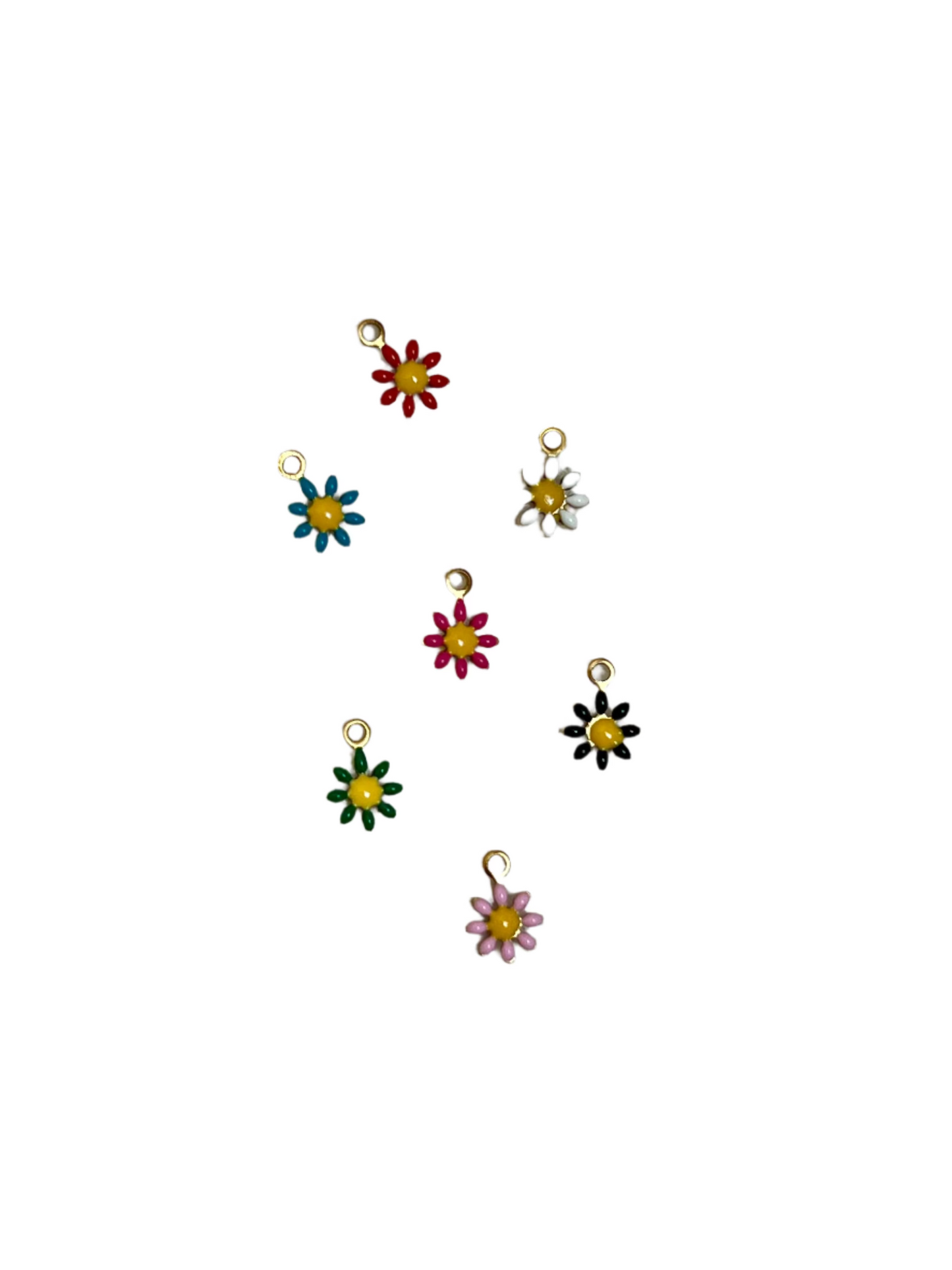 Baby Color Daisys