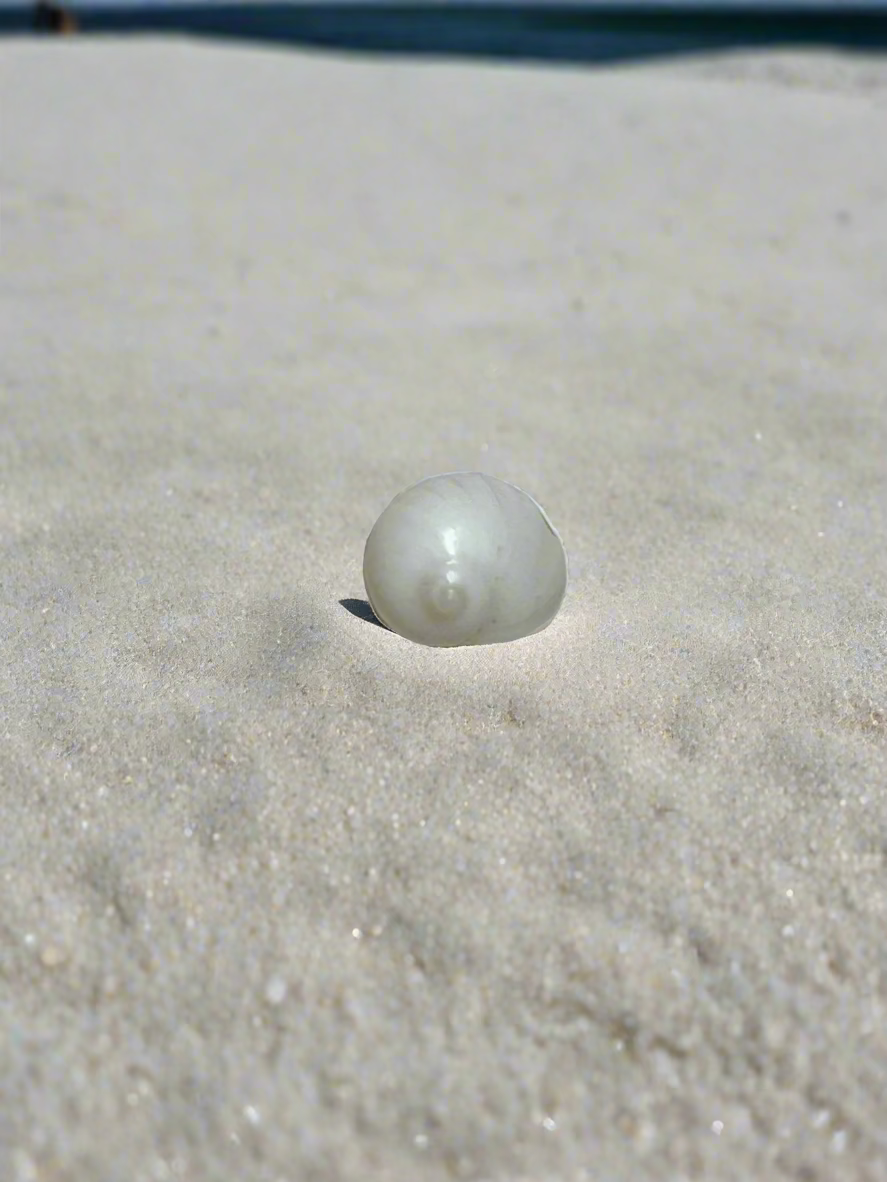 Moon Shell Spiral Charm