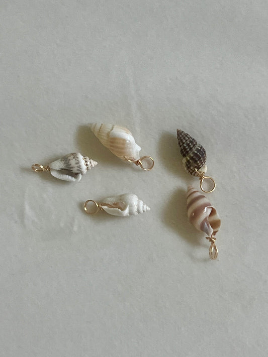 Natural Conch