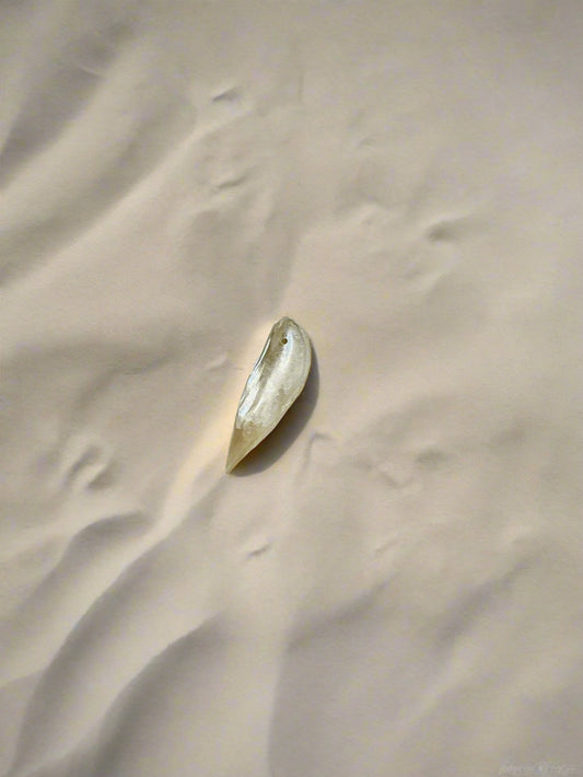 Drift – Shell Drop Charm