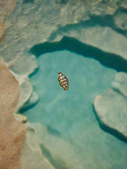 Mini Monstera Charm