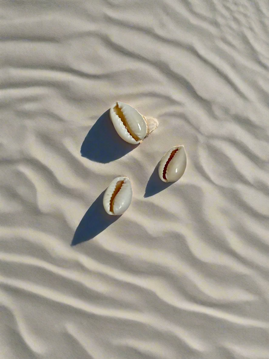 Cowrie Cuties – Natural Shell Charms